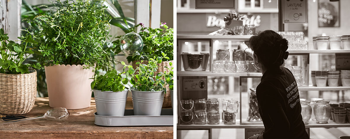 Visual Merchandiser, Sostrene Grene