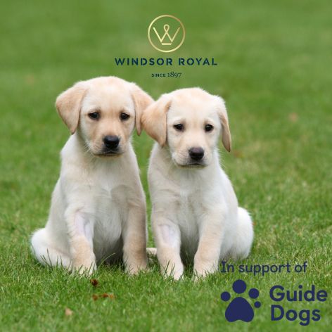 Guide Dogs Puppy Appeal at Windsor Royal