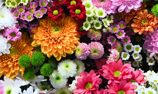 Gordons Florist