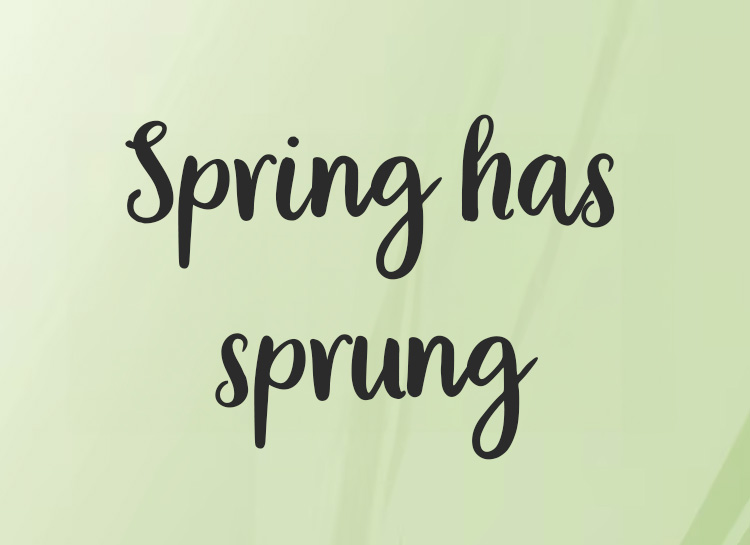 Spring has sprung – let’s let in the light