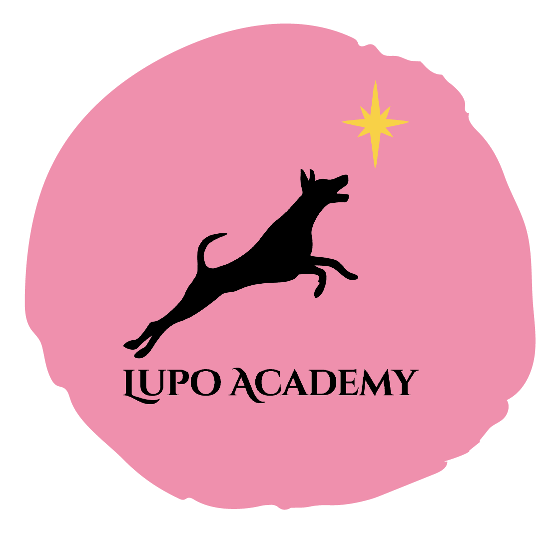 dog friendly stores at Festival Place