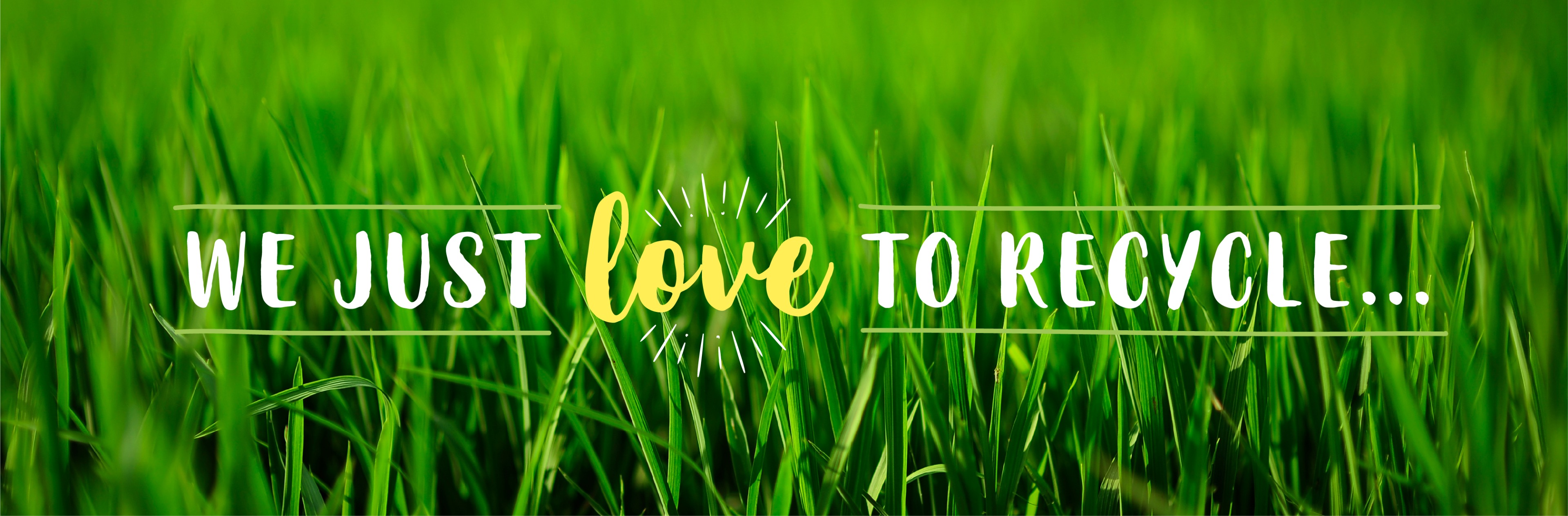 Festival Place recycling