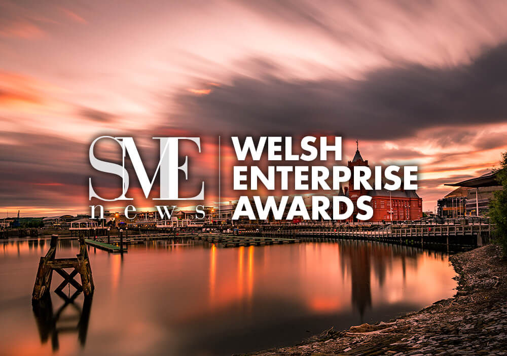 Castle Court wins a 2024 Welsh Enterprise Award