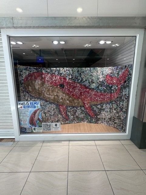 Remy the Whale is proudly on display at Elmsleigh
