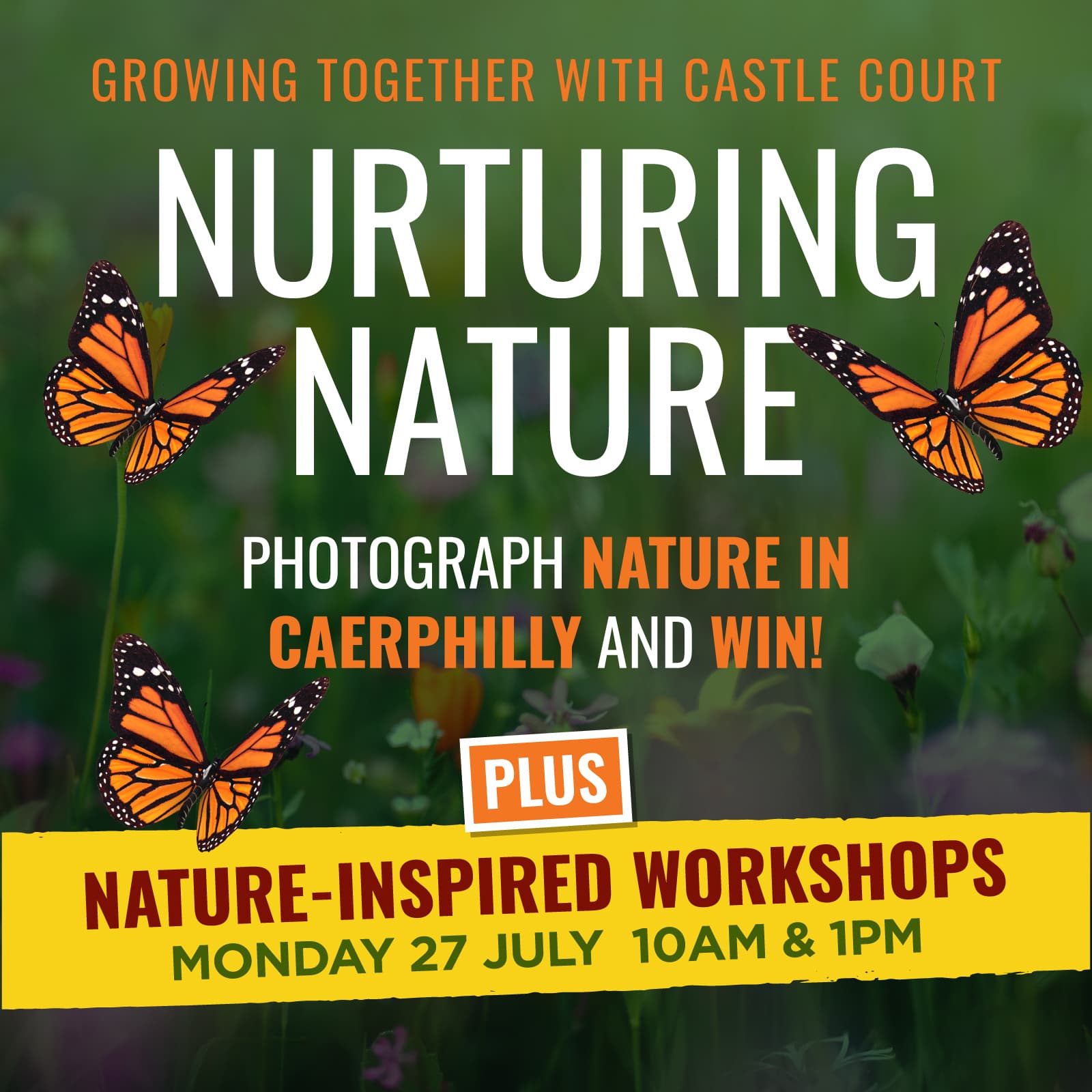 Nurturing Nature in Caerphilly