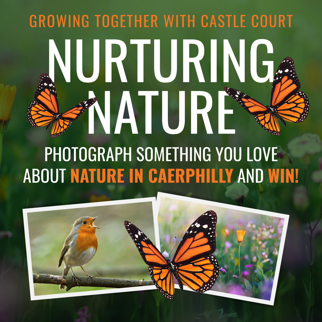 Nurturing Nature in Caerphilly