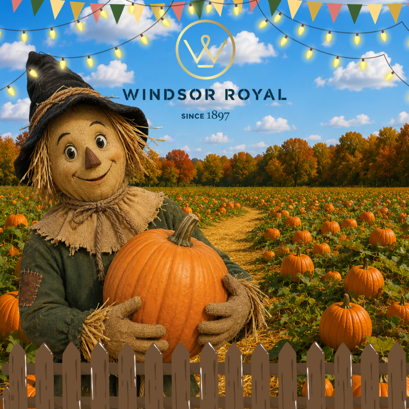 Windsor Royal's Pumpkin Patch Party