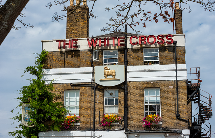 The White Cross image