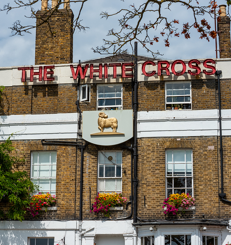 The White Cross image