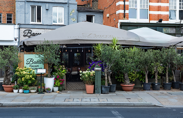 Bacco Ristorante Italiano image