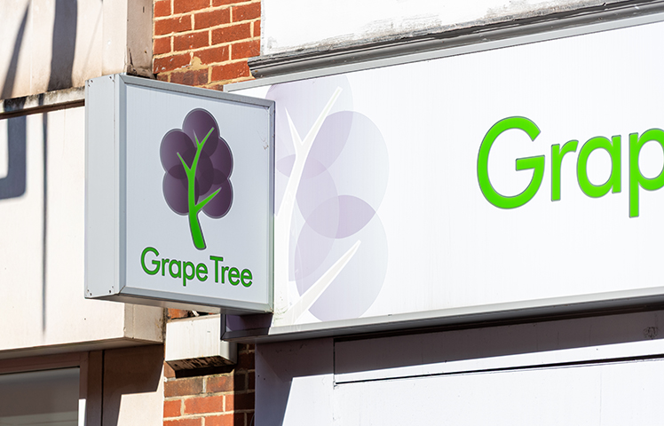 Grape Tree image