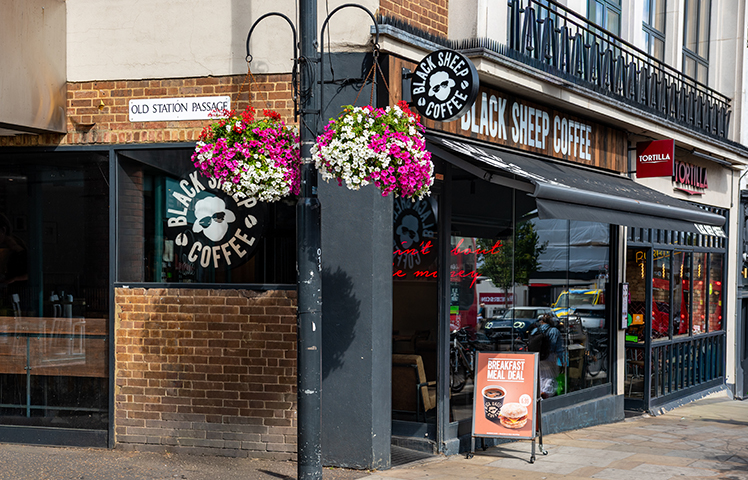 Black Sheep Coffee image