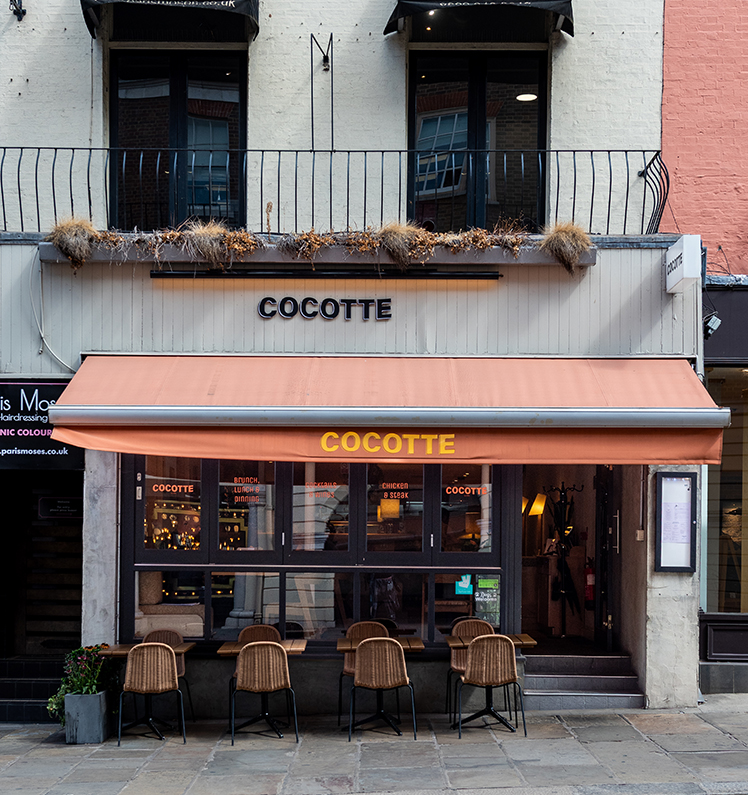 Cocotte image