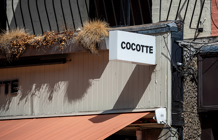 Cocotte image